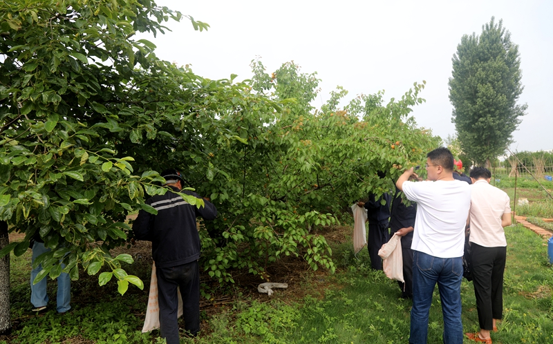 9Z0A2180.JPG 9Z0A2180.JPG